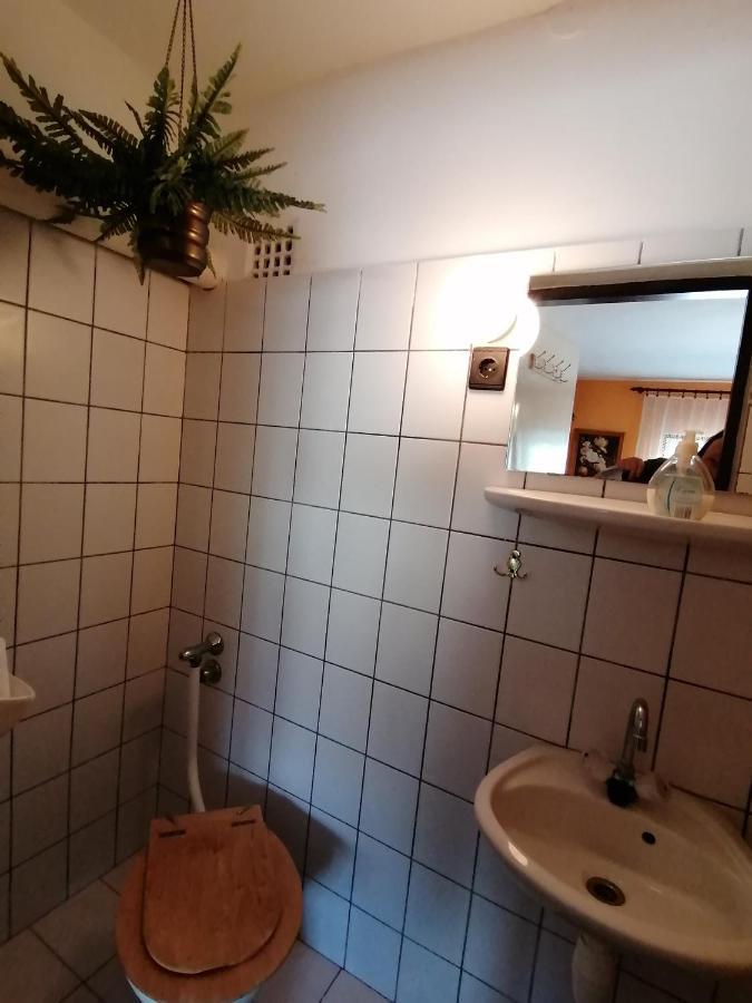 Ildiko Vendeghaz Heviz Apartment ภายนอก รูปภาพ