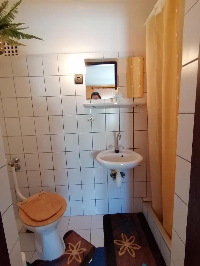 Ildiko Vendeghaz Heviz Apartment ภายนอก รูปภาพ